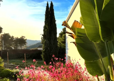 lush sunset garden in Garraf Natural Park at gay men-only accommodation near Sitges Barcelona