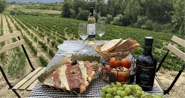 Mediterranean cuisine near gay men-only guesthouse near Barcelona