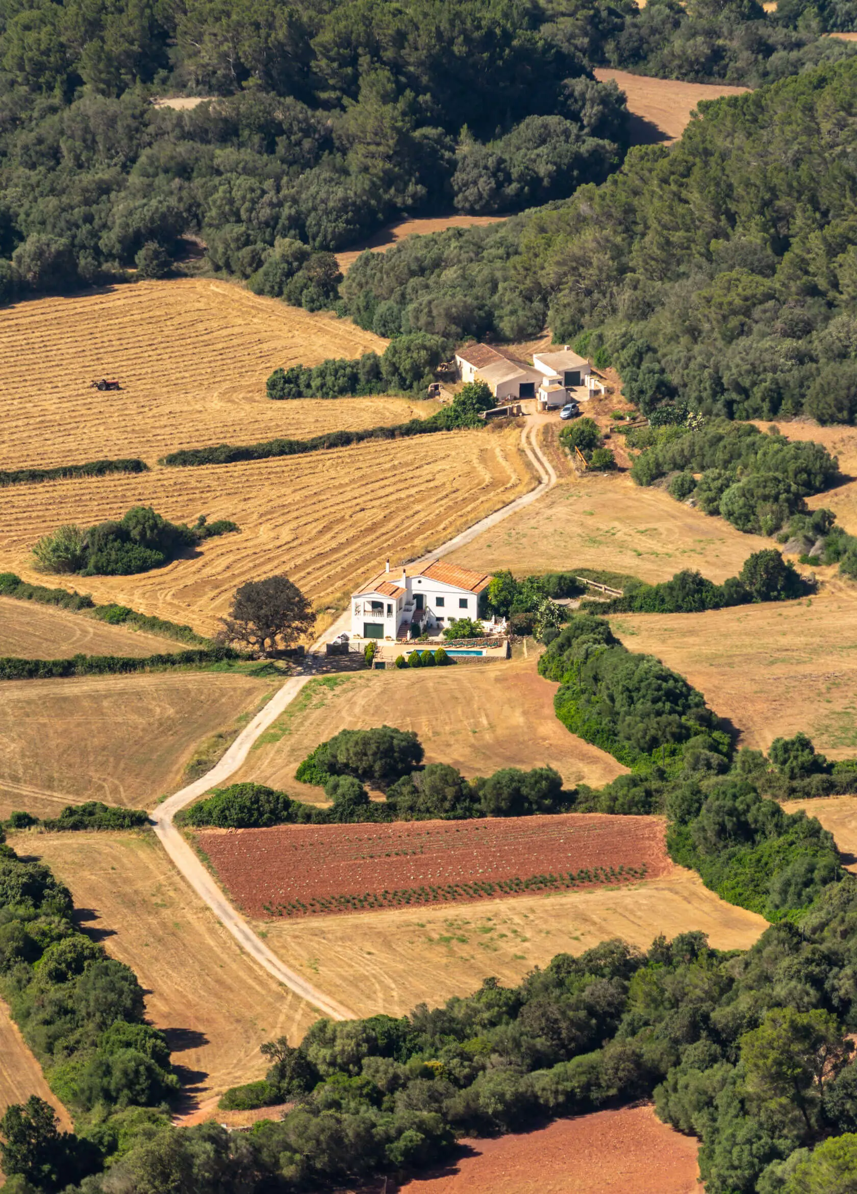 Wine tasting at a Penedès vineyard in Catalonia