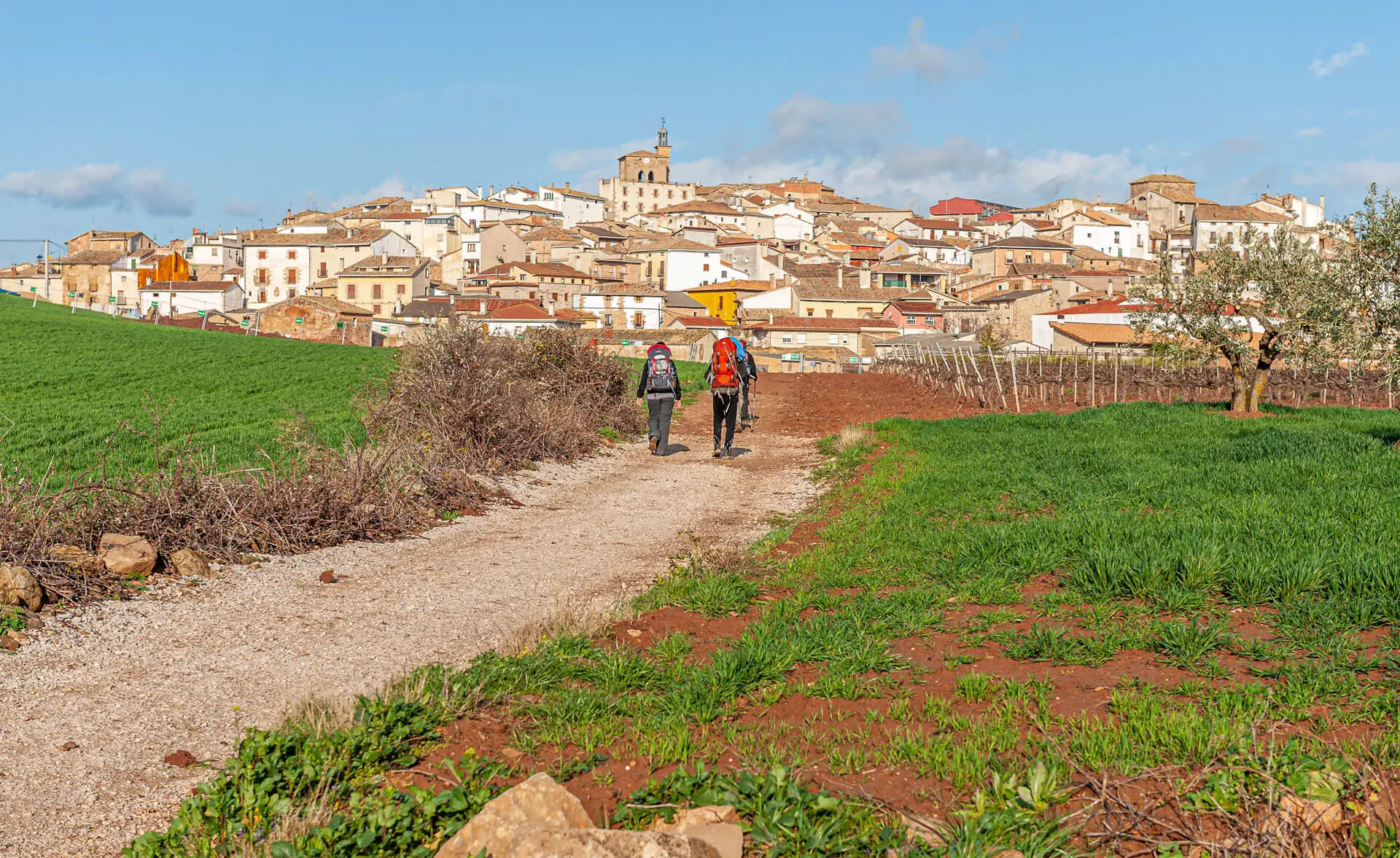 Garraf vineyards and Mediterranean landscape on a hike near Sitges.