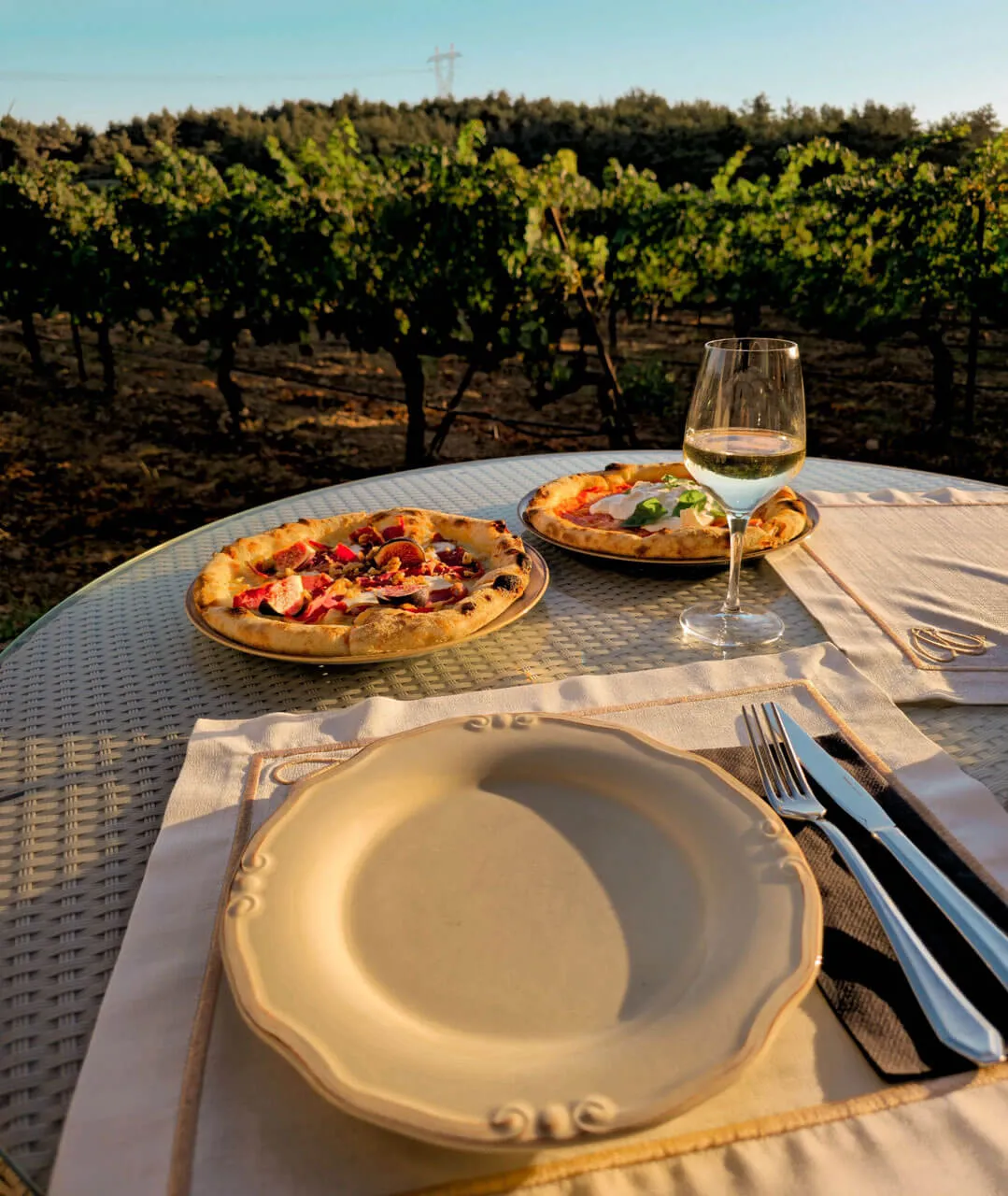 Relaxed Catalan lunch and wine experience in the Penedès countryside