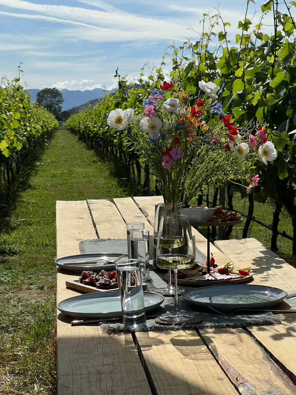 Catalan food and wine in the Penedès countryside near Sitges