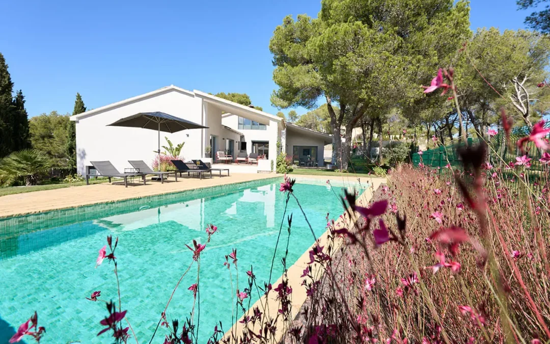 Which Suite Is Right for You?